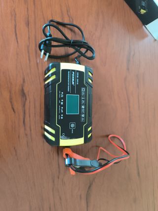 Cargador Reparador Batería 12V/24V