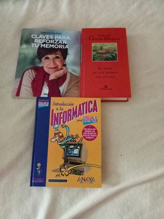 Introduccion a la informatica paratorpes