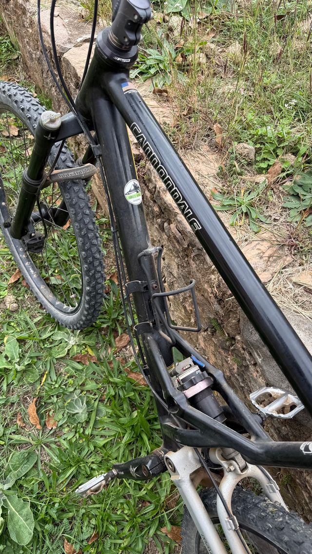 Cannondale Jekyll Talla L