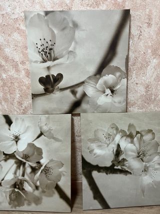 Set 3 Cuadros Flores Beige y Blanco
