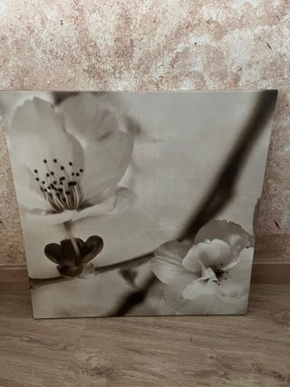 Set 3 Cuadros Flores Beige y Blanco