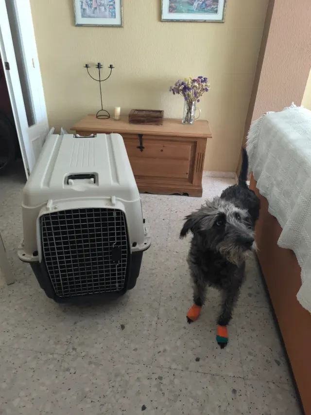 Transportín ribecan 90x60x68.