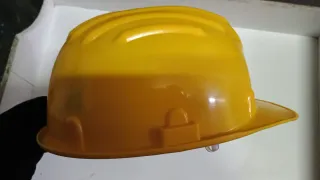Casco forestale 