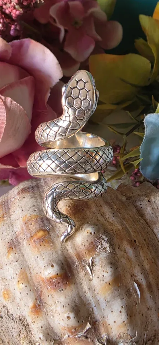 Anillo Serpiente Plata Ajustable