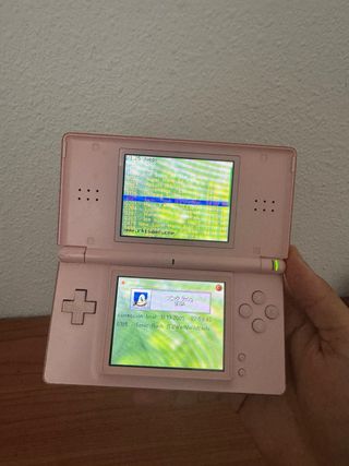 Nintendo DS Lite Rosa + Accesorios