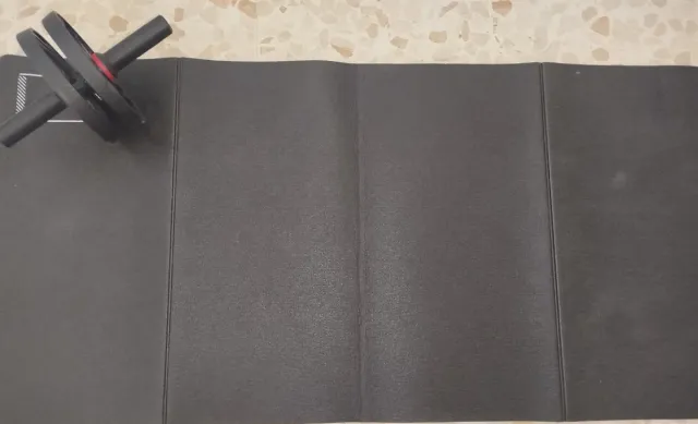 Rueda Abdominal y Esterilla Fitness