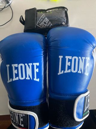 Guantes de Boxeo Leone Azules