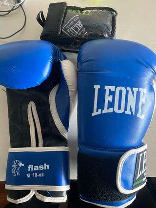 Guantes de Boxeo Leone Azules