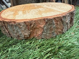 Rodaja Pino 23cm Diámetro