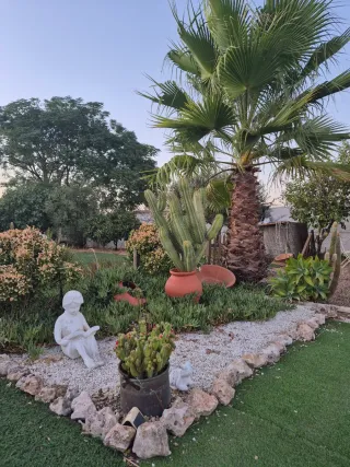 Finca Rústica con AFO
