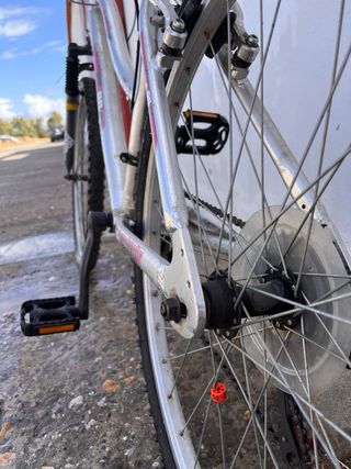 Bicicleta de montaña plateada