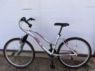 Bicicleta de montaña plateada