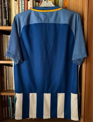 Camiseta Brighton & Hove Albion original Nike 2017