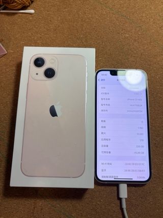 iPhone 13 mini rosa da 256 GB