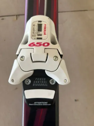 Esquís Rossignol con palos