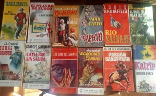 12 novelas vintage
