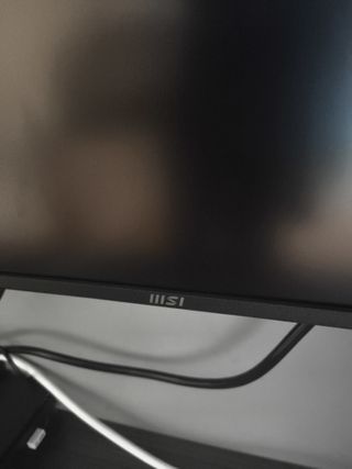 Monitor Gaming MSI Pro MP252 Profesional