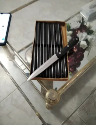 Set de 12 Cuchillos de Carne de cocina peq