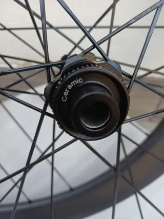 Ruote Carbonio Disc 55mm DT Swiss