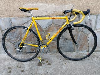 Bici Corsa Wilier Triestina Pantani Campagnolo