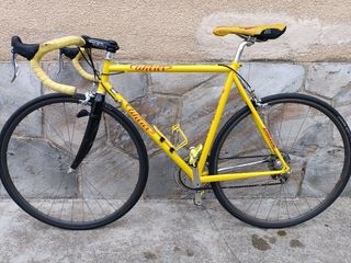Bici Corsa Wilier Triestina Pantani Campagnolo