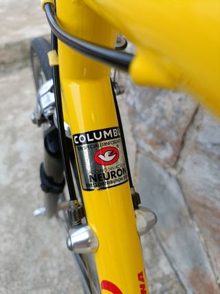 Bici Corsa Wilier Triestina Pantani Campagnolo