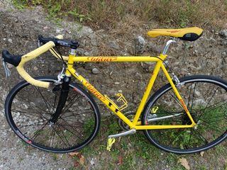 Bici Corsa Wilier Triestina Pantani Campagnolo