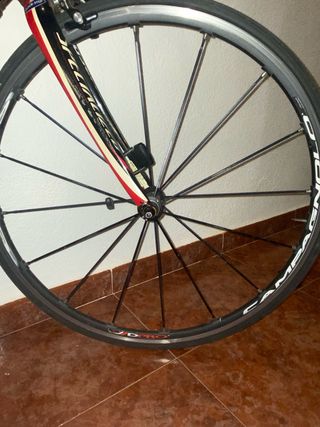 Bicicleta Specialized Tarmac Carbono