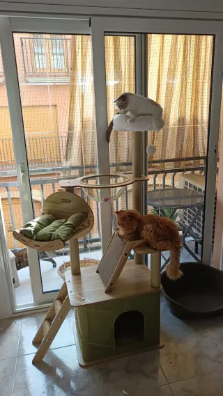 Rascador para gatos Arnold