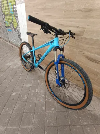 Bicicleta Scott Scale carbono Talla S
