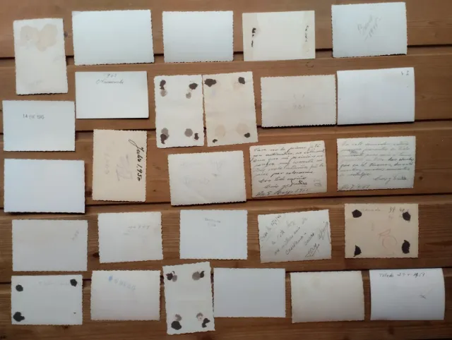 Lote 60 fotografías antiguas años 40-50