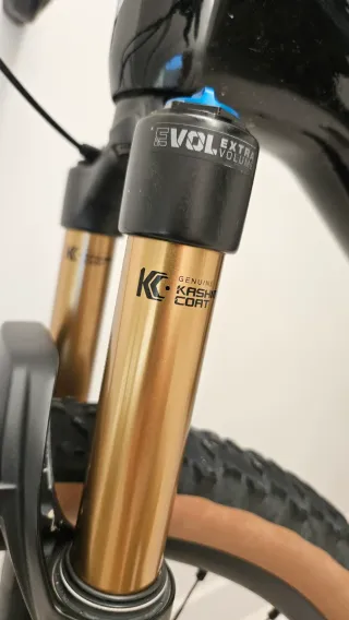 Berria Mako carbono Kashima