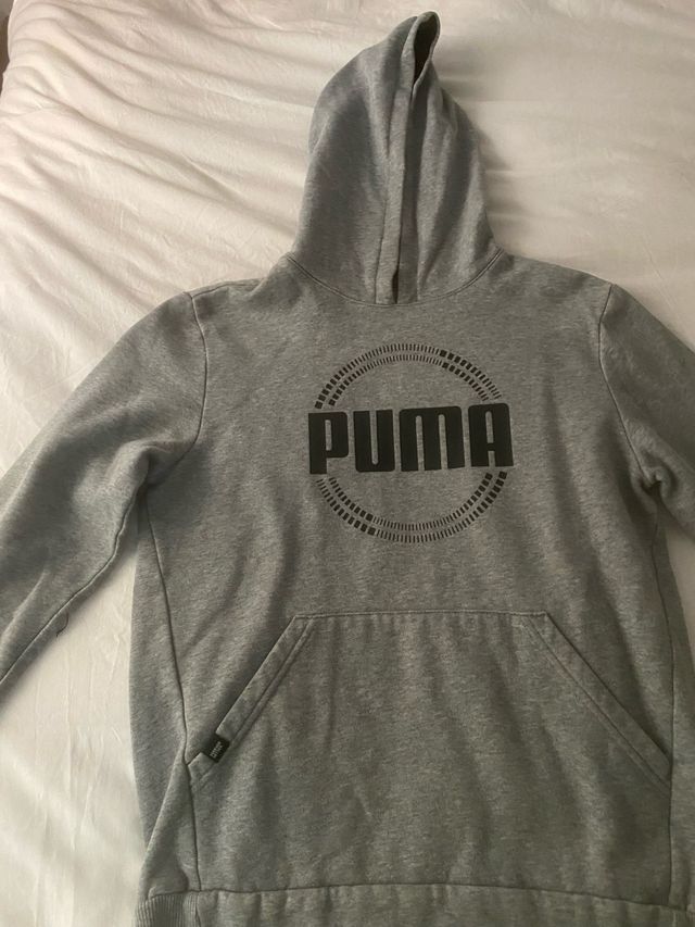 Sudadera Puma Gris con Capucha.