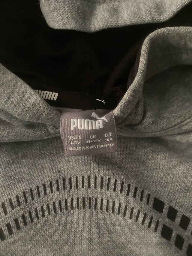 Sudadera Puma Gris con Capucha.