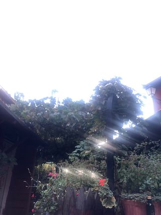 Casa rural completa en montaña