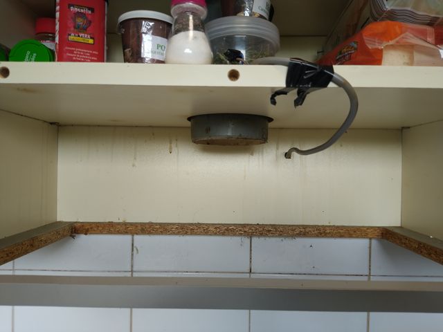 Pulitura di L'estratto della cucina