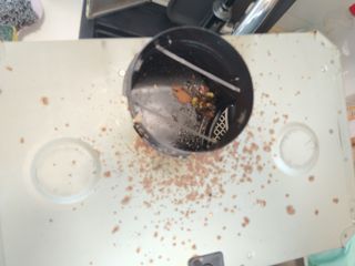 Pulitura di L'estratto della cucina