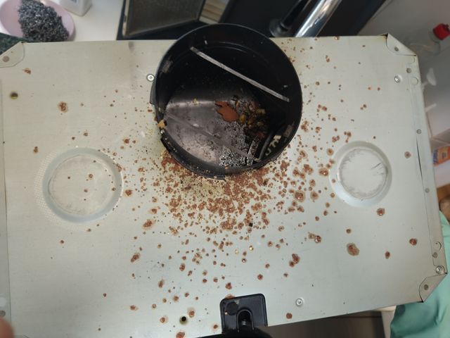 Pulitura di L'estratto della cucina