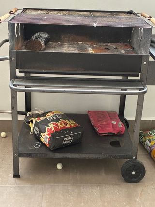 Barbacoa de carbón y leña