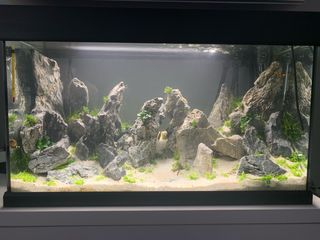 Acuario Eheim Vivaline 126L