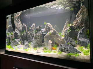 Acuario Eheim Vivaline 126L