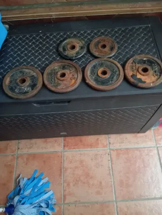 Pesas de disco para gimnasio