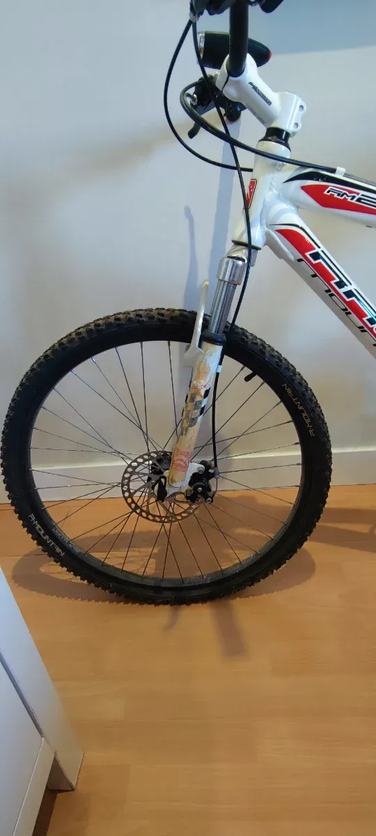 Bicicleta RACE MOUNTAIN RM200 TT