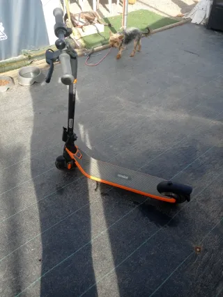 Patín Eléctrico Niños Segway Ninebot C2