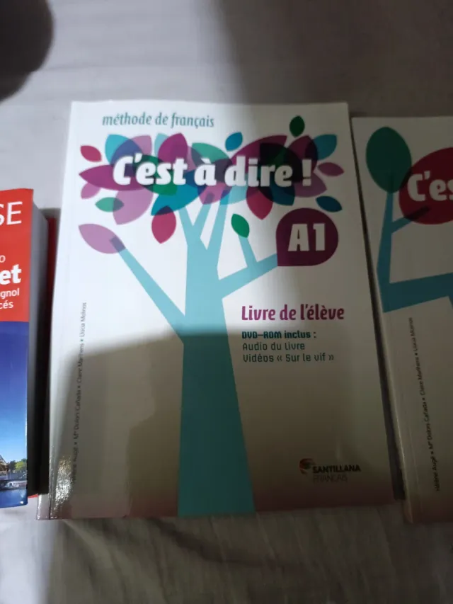 C'EST A DIRE A1 LIVRE ELEVE