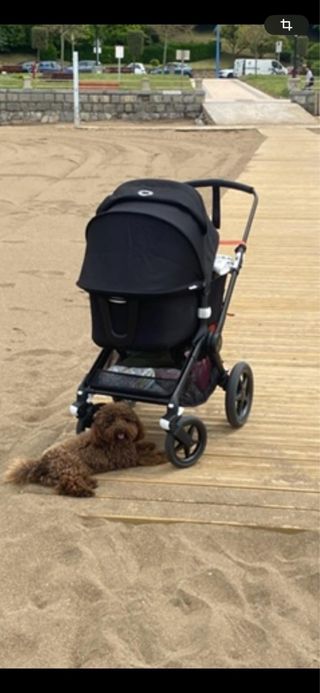 Bugaboo Fox 2 negro.Como
nuevo.