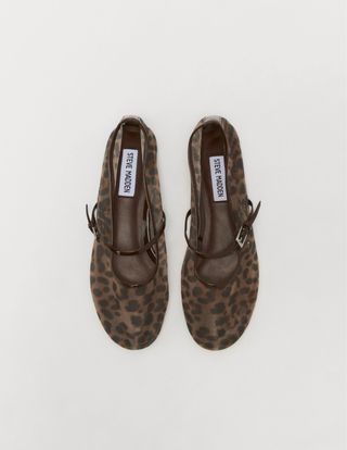 Bailarinas Steve Madden Animal Print