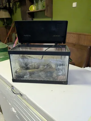 Acuario con tapa negra
