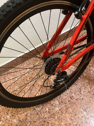 Bicicleta de Montaña 26