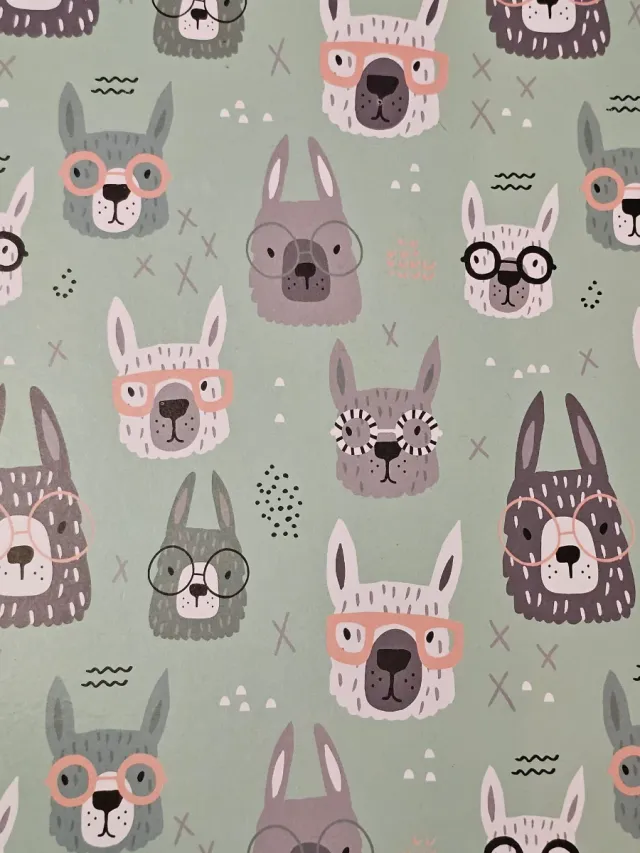 Carpeta Escritura Diseño Animales con Gafas